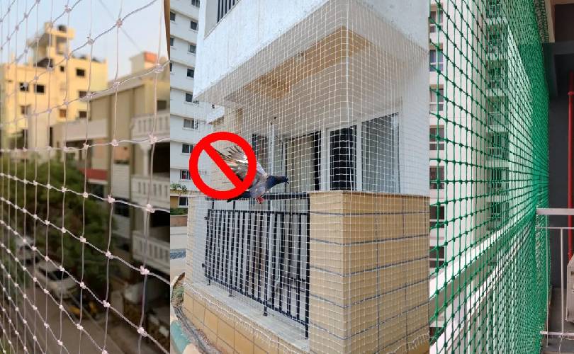 Pigeon Safety Nets In Pune